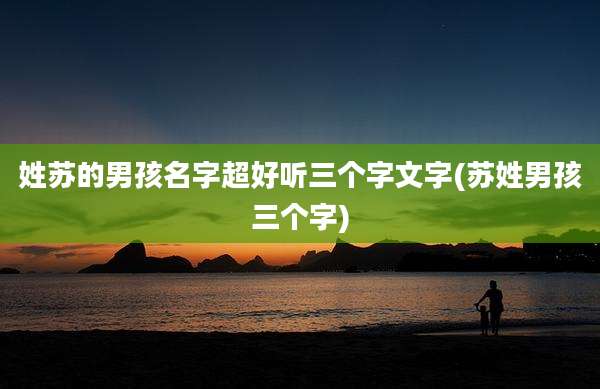 姓苏的男孩名字超好听三个字文字(苏姓男孩三个字)