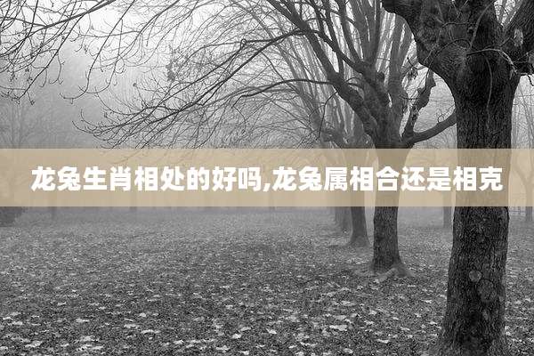 龙兔生肖相处的好吗,龙兔属相合还是相克