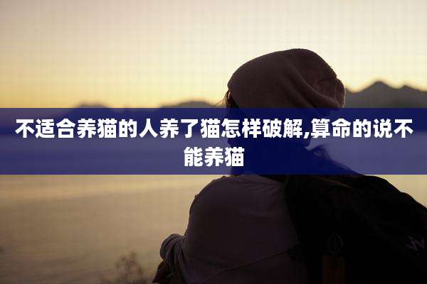 不适合养猫的人养了猫怎样破解,算命的说不能养猫