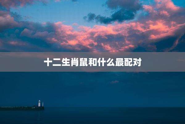 十二生肖鼠和什么最配对