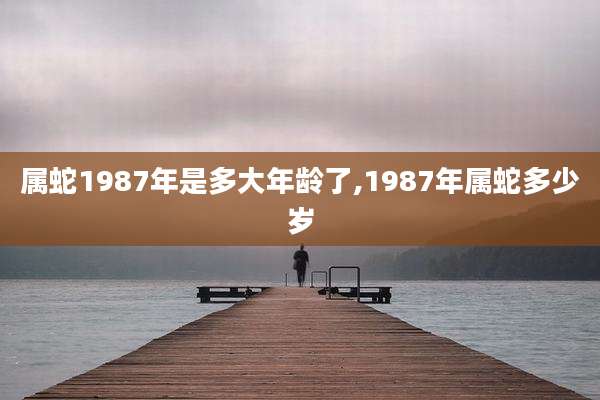 属蛇1987年是多大年龄了,1987年属蛇多少岁