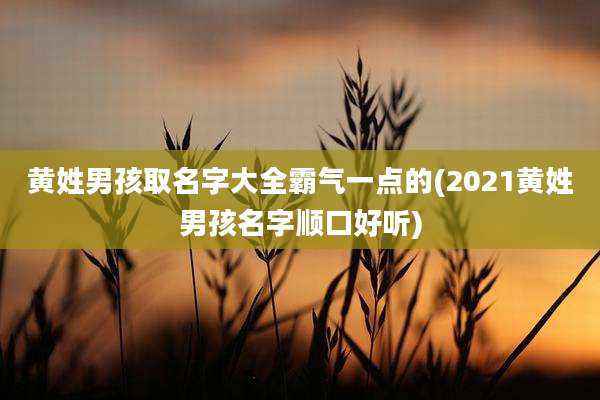黄姓男孩取名字大全霸气一点的(2021黄姓男孩名字顺口好听)