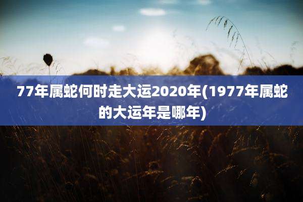 77年属蛇何时走大运2020年(1977年属蛇的大运年是哪年)