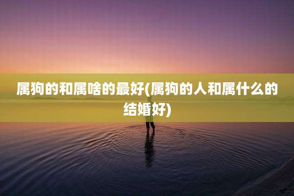 属狗的和属啥的最好(属狗的人和属什么的结婚好)