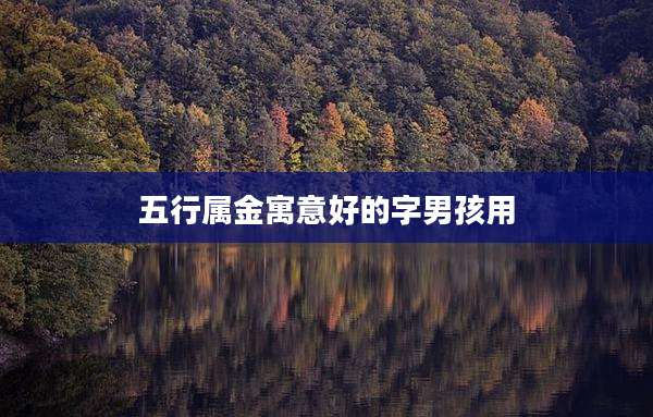 五行属金寓意好的字男孩用