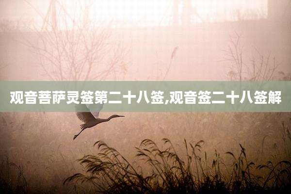 观音菩萨灵签第二十八签,观音签二十八签解