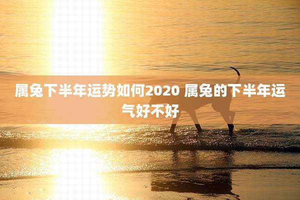 属兔下半年运势如何2020 属兔的下半年运气好不好