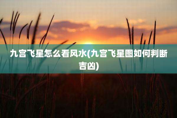 九宫飞星怎么看风水(九宫飞星图如何判断吉凶)