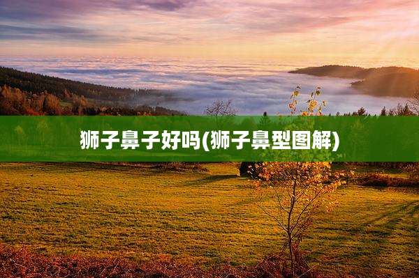 狮子鼻子好吗(狮子鼻型图解)