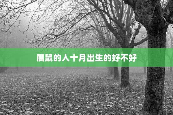 属鼠的人十月出生的好不好