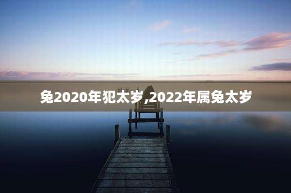 兔2020年犯太岁,2022年属兔太岁