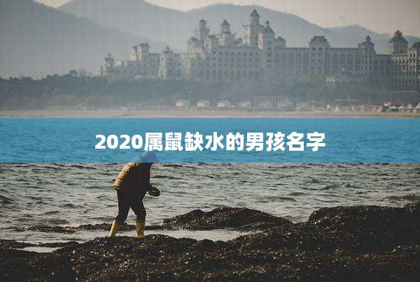 2020属鼠缺水的男孩名字