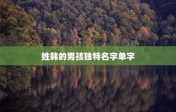 姓韩的男孩独特名字单字