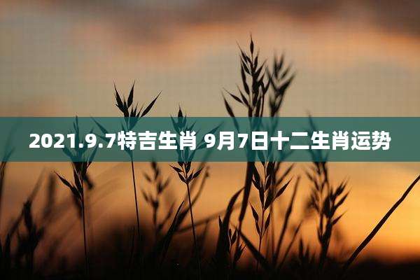 2021.9.7特吉生肖 9月7日十二生肖运势