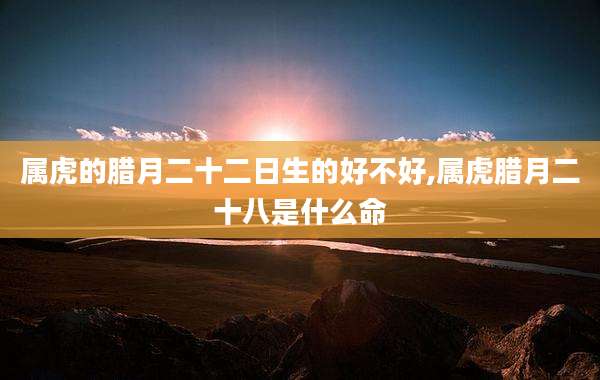 属虎的腊月二十二日生的好不好,属虎腊月二十八是什么命