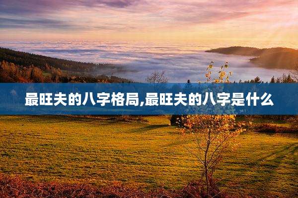 最旺夫的八字格局,最旺夫的八字是什么
