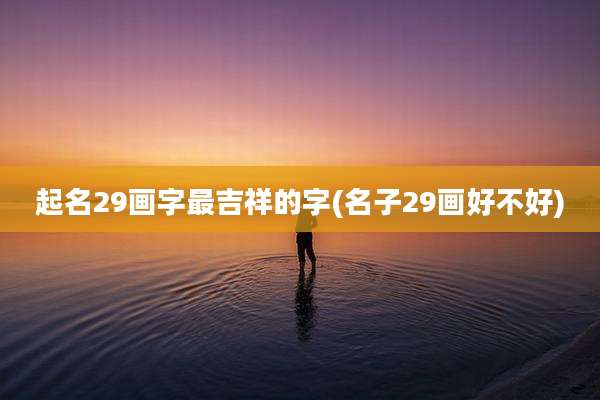 起名29画字最吉祥的字(名子29画好不好)