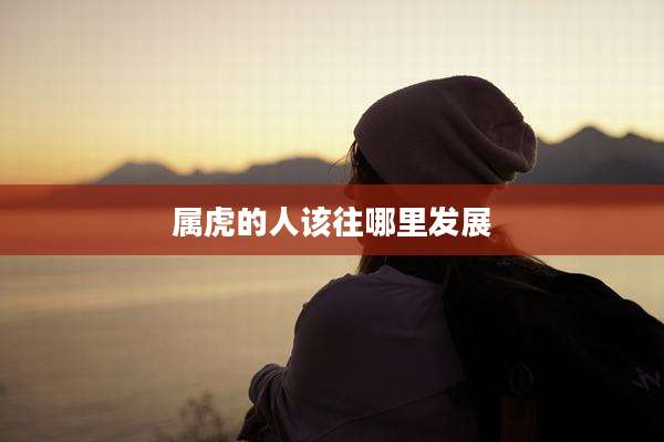 属虎的人该往哪里发展