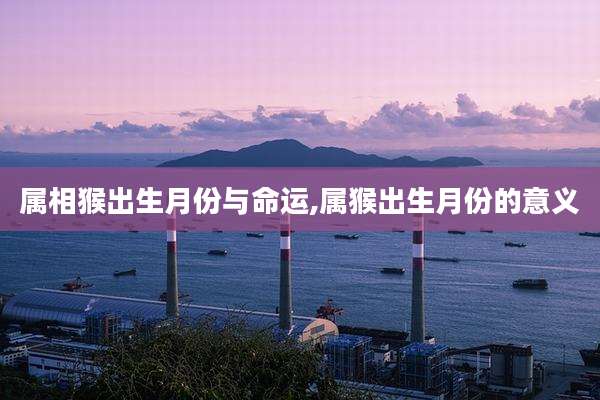 属相猴出生月份与命运,属猴出生月份的意义