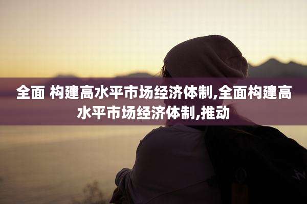 全面 构建高水平市场经济体制,全面构建高水平市场经济体制,推动