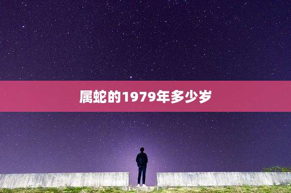 属蛇的1979年多少岁