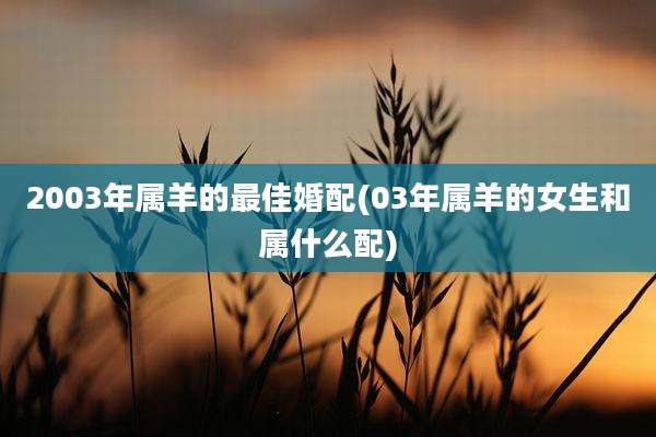 2003年属羊的最佳婚配(03年属羊的女生和属什么配)