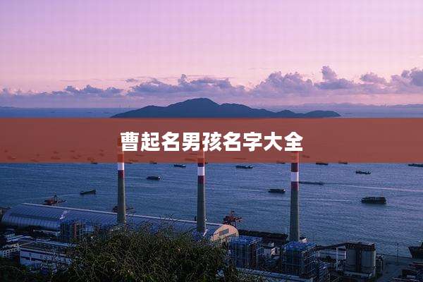 曹起名男孩名字大全
