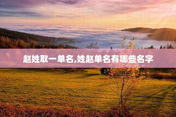 赵姓取一单名,姓赵单名有哪些名字