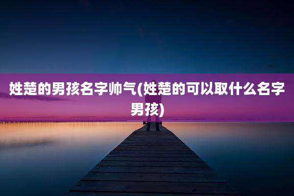 姓楚的男孩名字帅气(姓楚的可以取什么名字男孩)