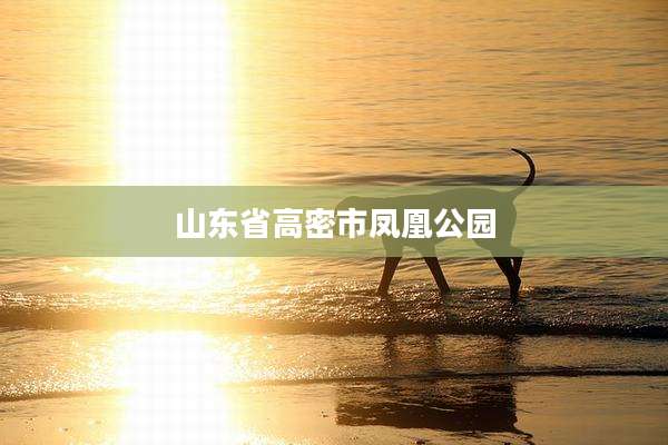 山东省高密市凤凰公园