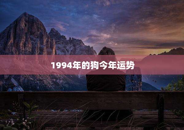 1994年的狗今年运势