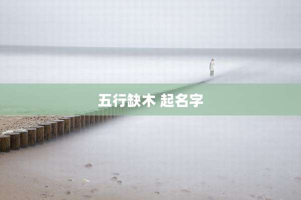五行缺木 起名字