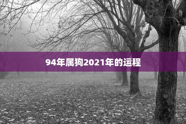 94年属狗2021年的运程