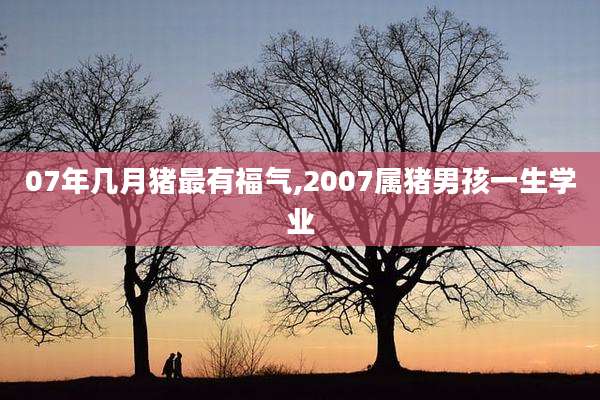 07年几月猪最有福气,2007属猪男孩一生学业