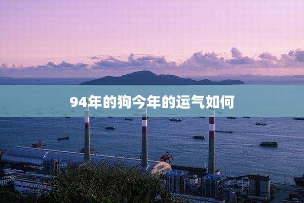 94年的狗今年的运气如何