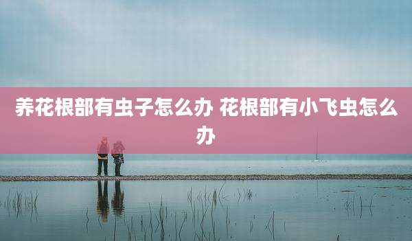 养花根部有虫子怎么办 花根部有小飞虫怎么办