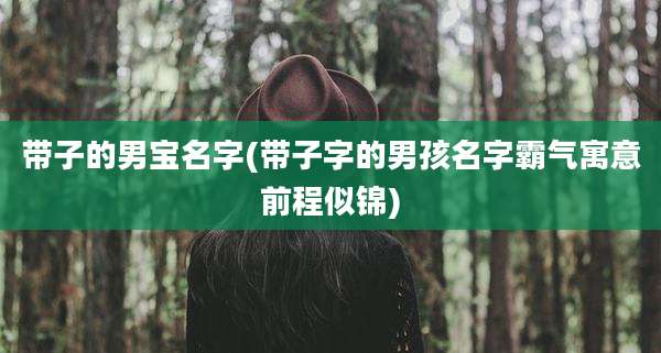 带子的男宝名字(带子字的男孩名字霸气寓意前程似锦)
