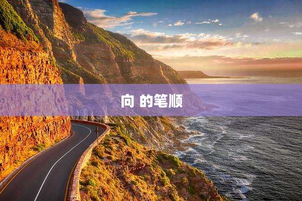 向 的笔顺