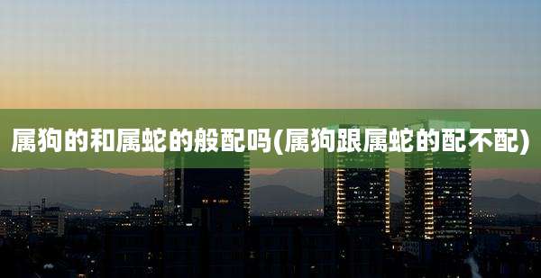属狗的和属蛇的般配吗(属狗跟属蛇的配不配)