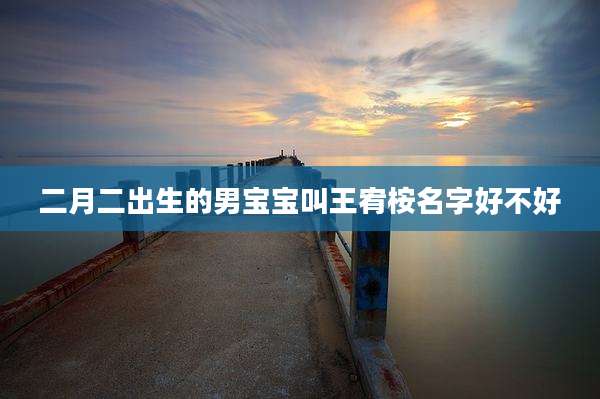 二月二出生的男宝宝叫王宥桉名字好不好