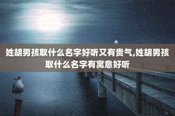 姓胡男孩取什么名字好听又有贵气,姓胡男孩取什么名字有寓意好听