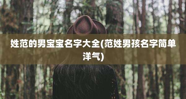 姓范的男宝宝名字大全(范姓男孩名字简单洋气)