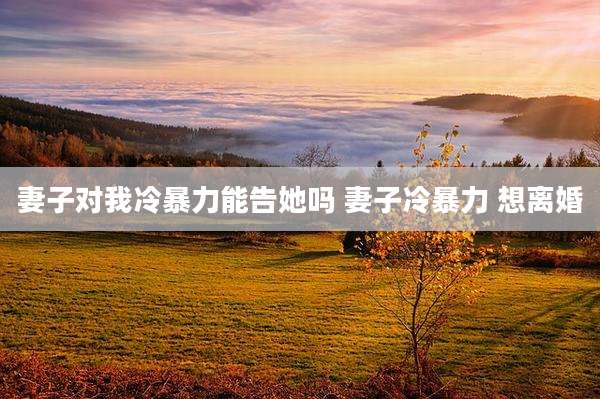 妻子对我冷暴力能告她吗 妻子冷暴力 想离婚