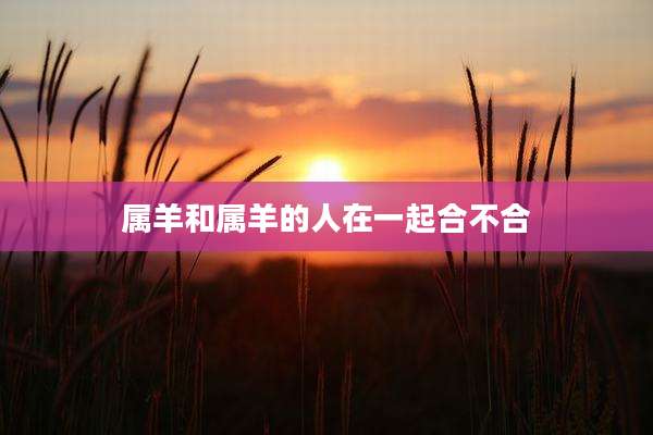属羊和属羊的人在一起合不合