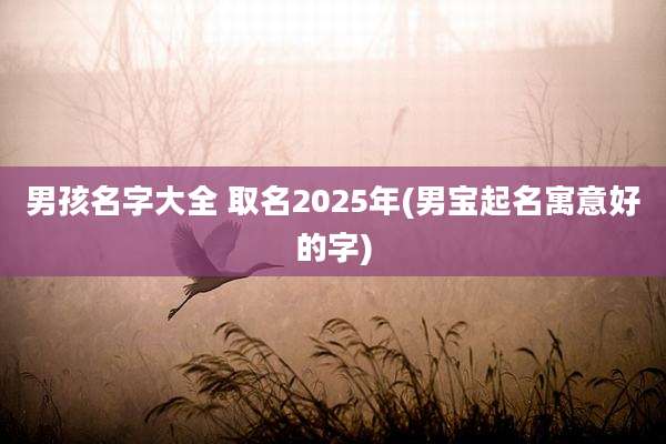 男孩名字大全 取名2025年(男宝起名寓意好的字)