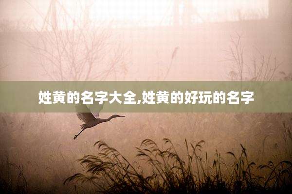 姓黄的名字大全,姓黄的好玩的名字