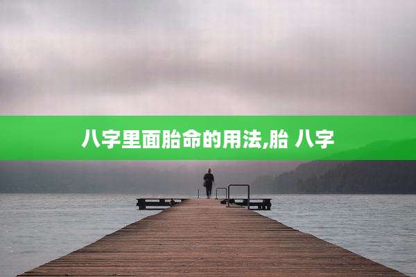 八字里面胎命的用法,胎 八字