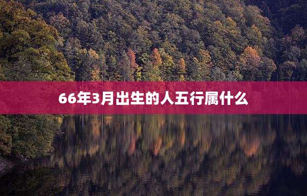66年3月出生的人五行属什么