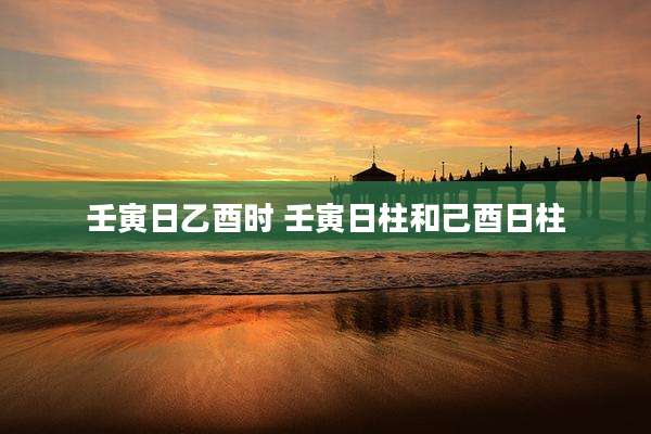 壬寅日乙酉时 壬寅日柱和己酉日柱