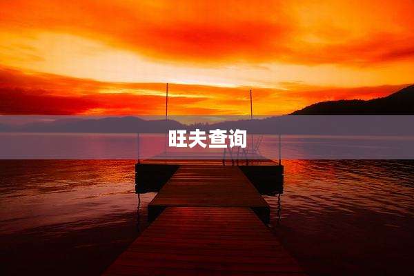 旺夫查询